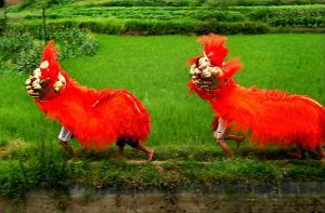 氣勢如虹的傳統(tǒng)文化之舞——玄灘獅舞