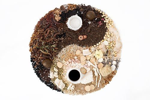 在傳承與開拓中促進中醫(yī)發(fā)展