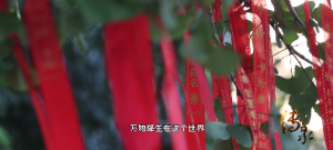 《傳承》之《為愛活著》