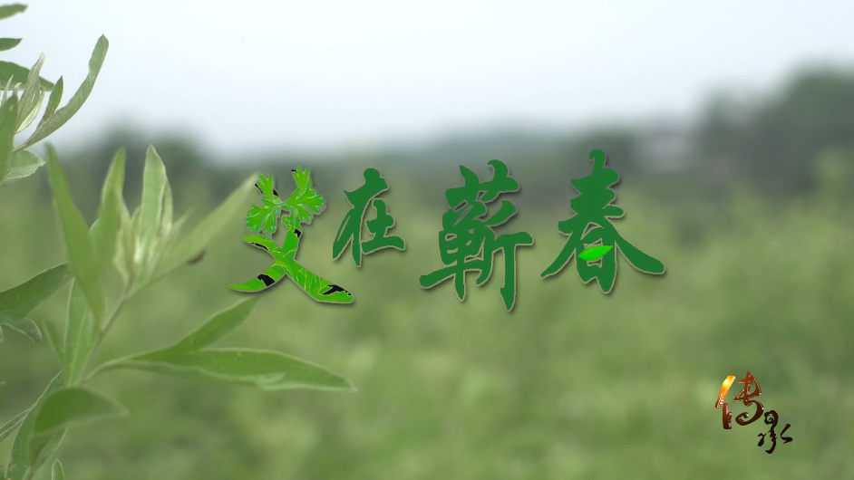 【傳承】艾在蘄春