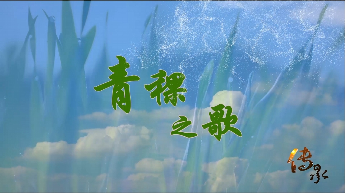 傳承之《青稞之歌》